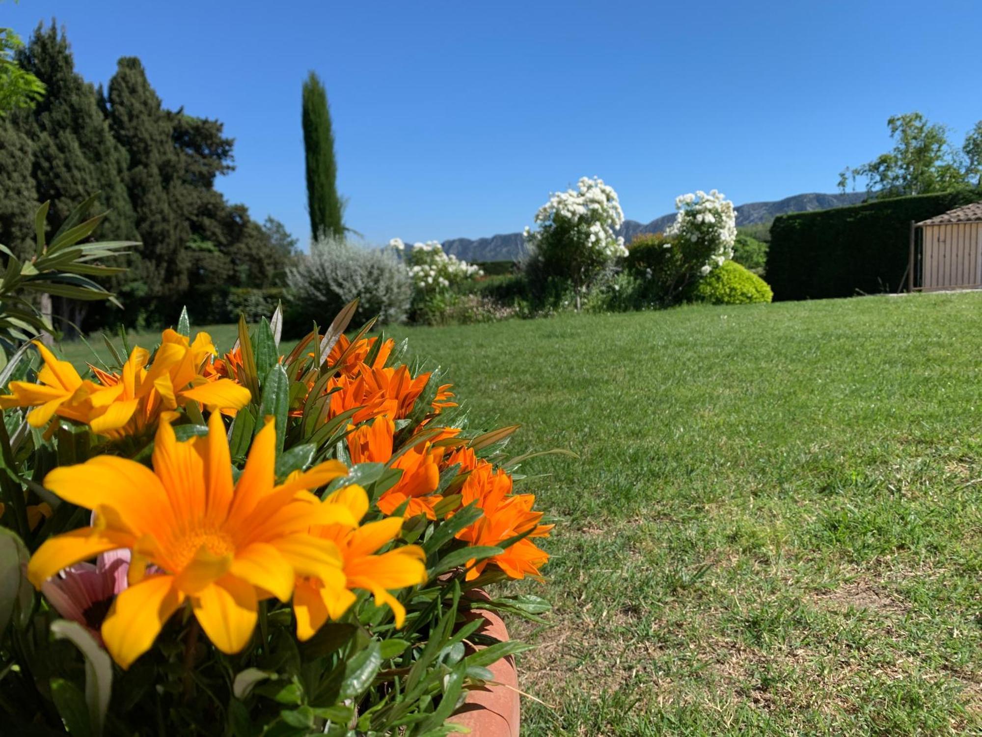 En Provence, Chez Stephanie Et Marcel Saint-Rémy-de-Provence المظهر الخارجي الصورة