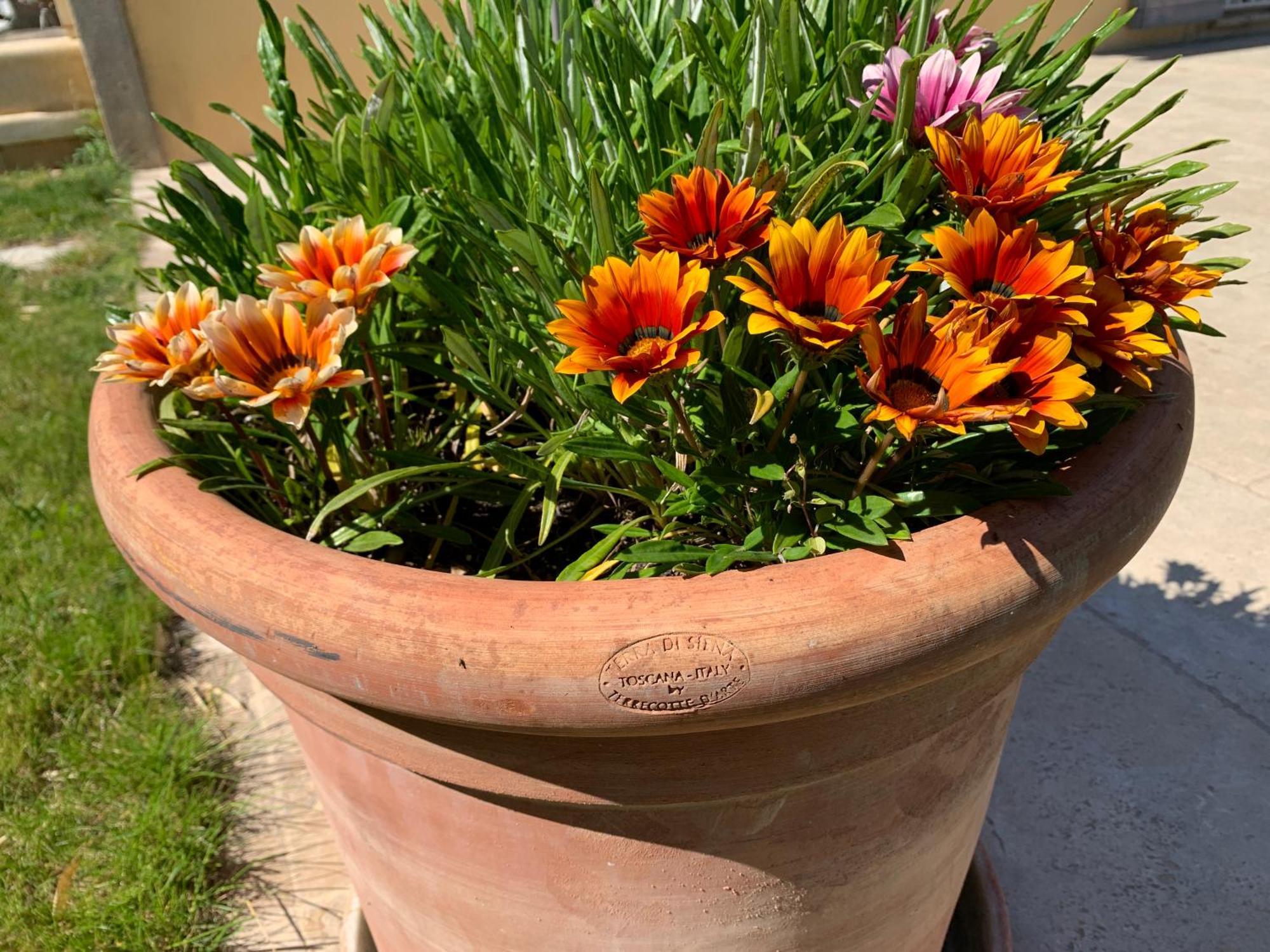 En Provence, Chez Stephanie Et Marcel Saint-Rémy-de-Provence المظهر الخارجي الصورة