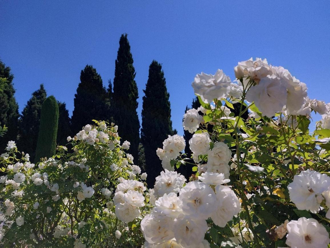 En Provence, Chez Stephanie Et Marcel Saint-Rémy-de-Provence المظهر الخارجي الصورة